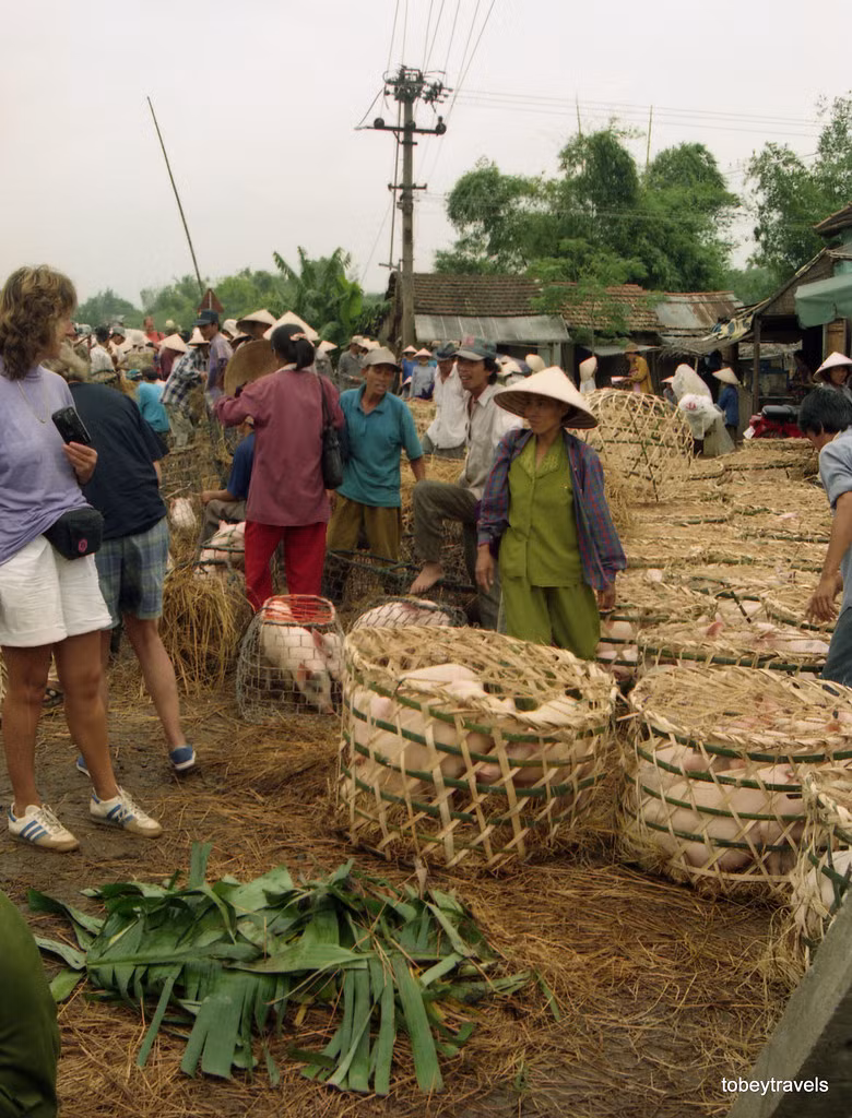 Khách nước ngoài thích thú khám phá chợ lợn Hội An.