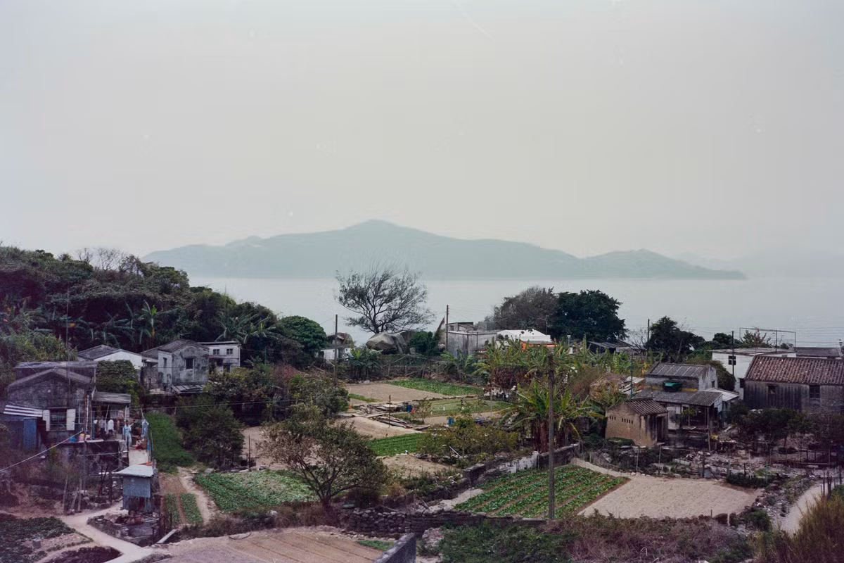 Làng xóm trên đảo Bình Châu, khu Tân Giới.