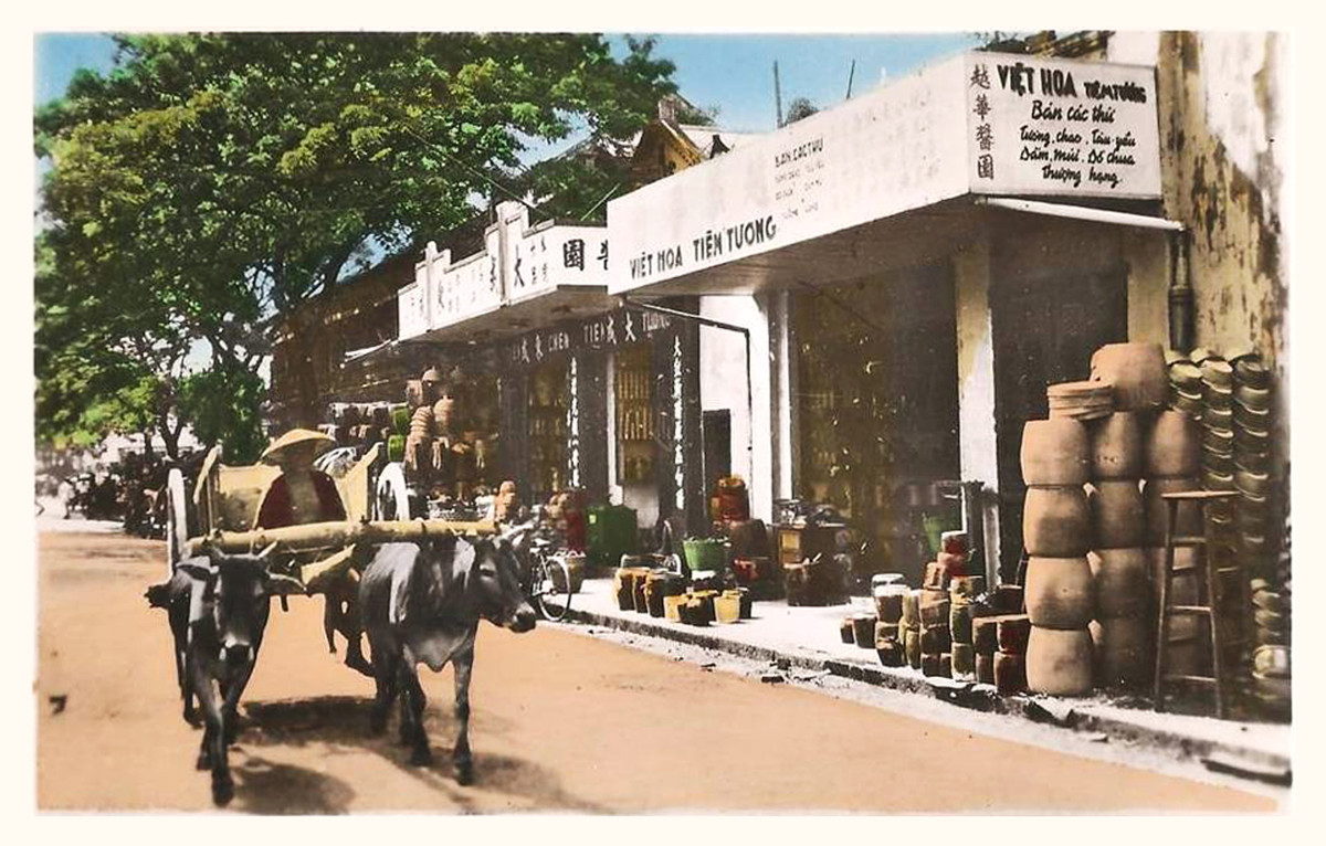 Người đánh xe bò đi qua cửa hàng đồ sành ở Sài Gòn khoảng thập niên 1940, đầu thập niên 1950.