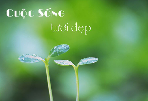 Năm nay sự giàu có dễ đến với bạn hơn người bình thường và bạn luôn hết mình với mọi người. Bạn là người có nhân cách, trái tim. 