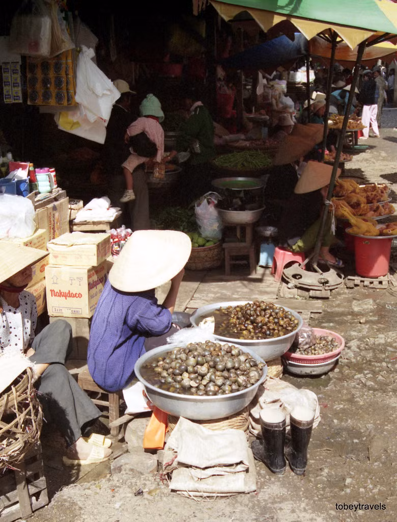 Những chiếc chậu chứa đầy ốc nước ngọt, loại thực phầm ít phổ biến với người phương Tây.