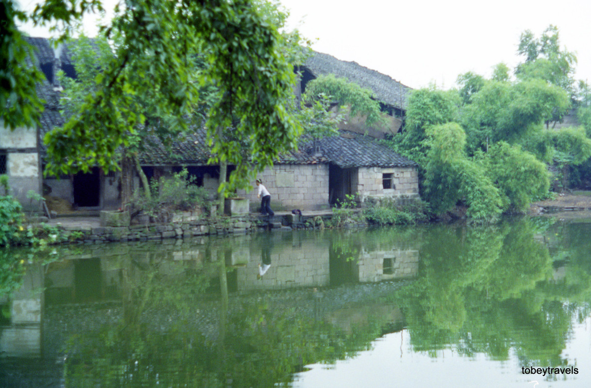 Ao cá của một nông trang ở huyện Đại Túc.