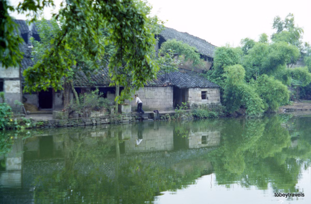 Ao cá của một nông trang ở huyện Đại Túc.