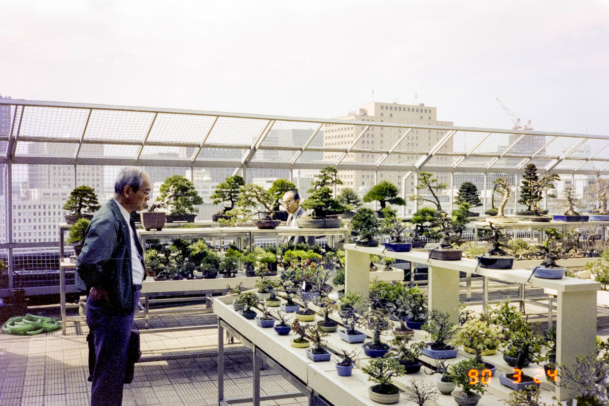 Cửa hàng bonsai ở bách hóa Daimaru.