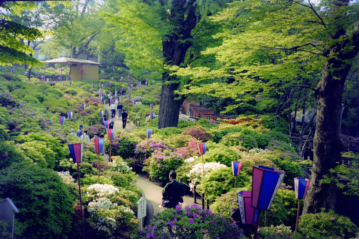 Vườn Rikugien, khu vườn thời Edo điển hình được công nhận là thắng cảnh của Nhật Bản, nằm gần ga Komagome.