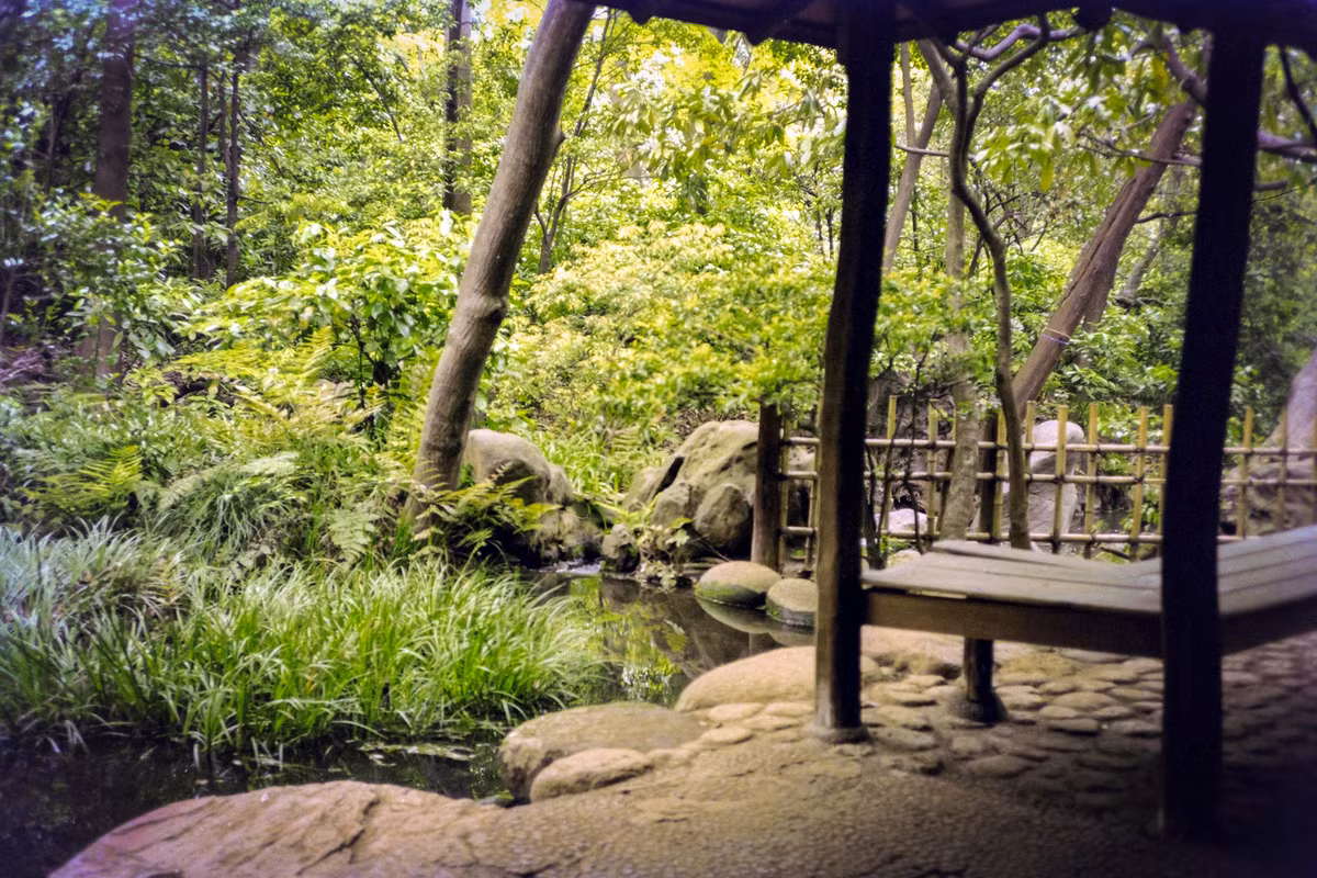 Một góc vườn Rikugien.