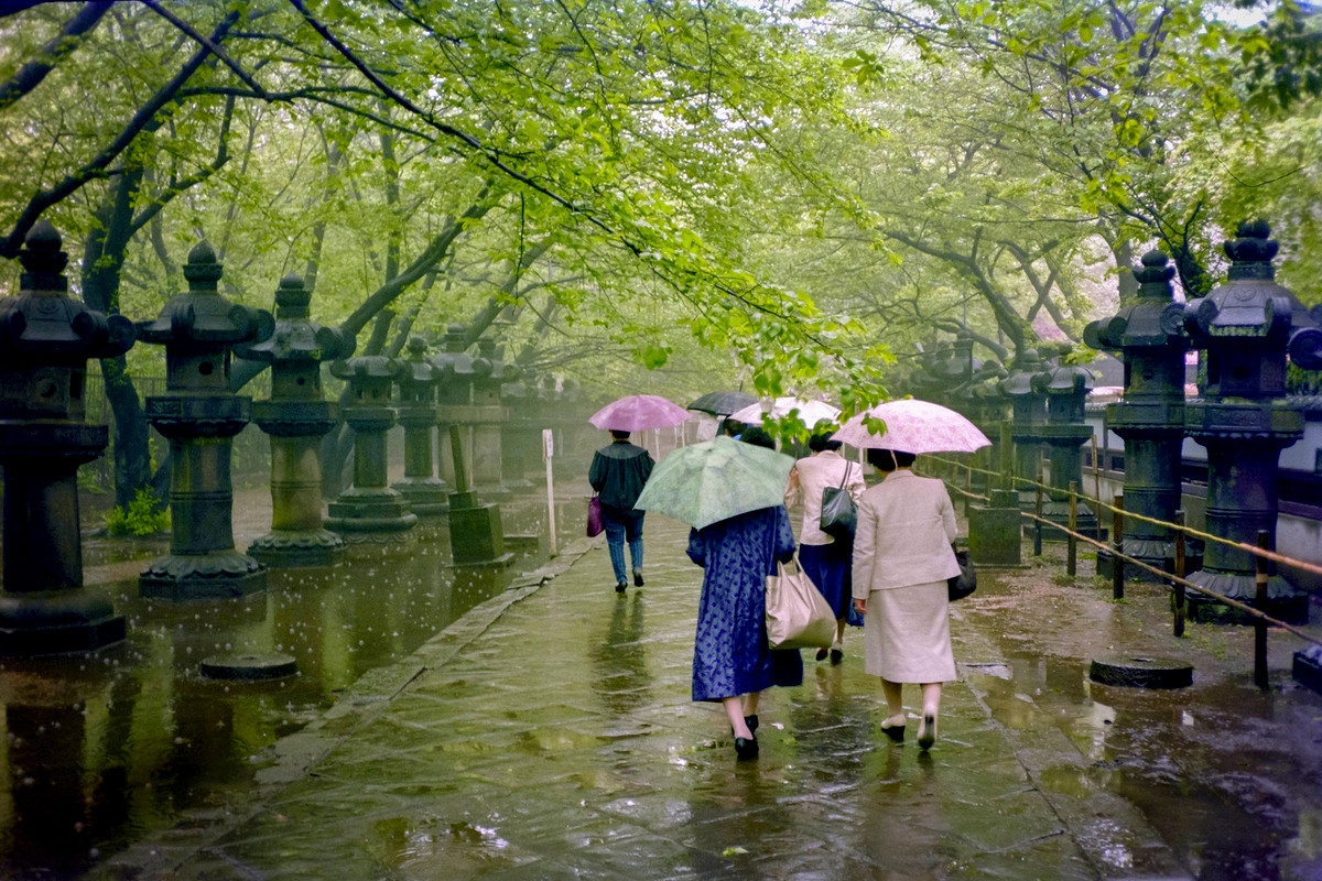 Ngày mưa ở đền Tosho-gu, Công viên Ueno.