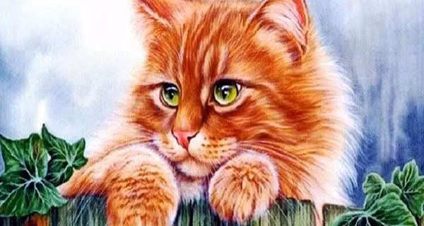 Tuổi Mão vốn có tính cách chính trực, không thích dựa dẫm vào người khác. Con giáp này tự nỗ lực để tạo ra của cải cho riêng mình. Nhờ năng lực cá nhân cũng như vận may trời ban mà con giáp này có thể tạo được sự khác biệt lớn, giàu có trong tầm tay.