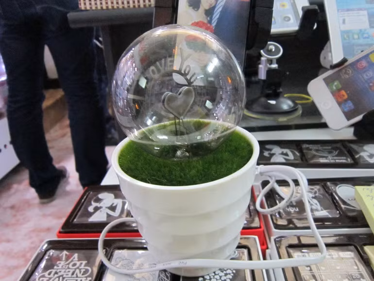 Đèn chậu hoa flasma phát sáng độc đáo này có giá khoảng 200 tới 300.000 đồng.