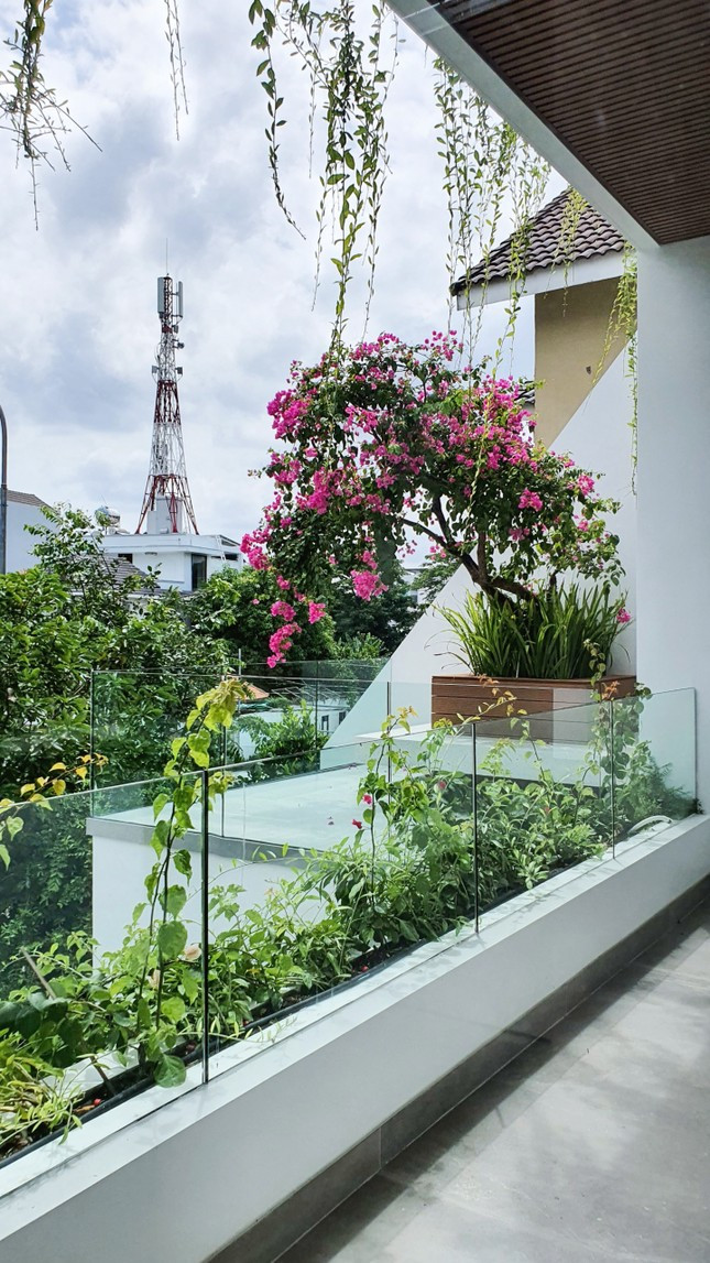 Vườn ban công với các loại cây kiểng, hoa lá phong phú tạo nên bức tranh thiên nhiên sống động, hòa quyện với không khí trong lành của miền Tây.