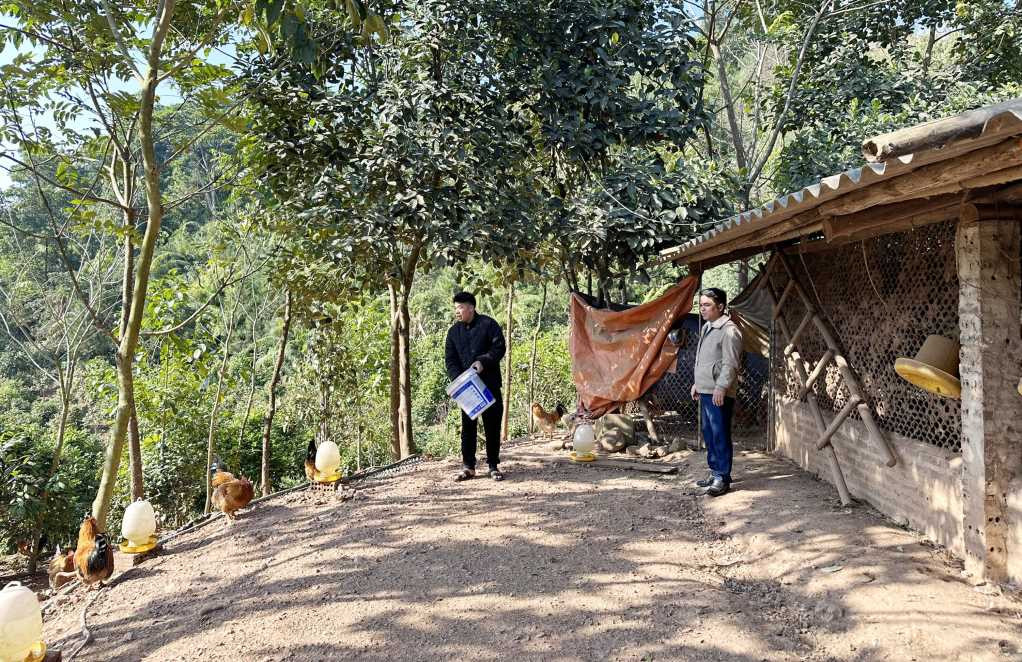 Trồng cây đặc sản ra hoa bán đắt như vàng - Hình 2 Trong cay dac san ra hoa ban dat nhu vang-Hinh-2