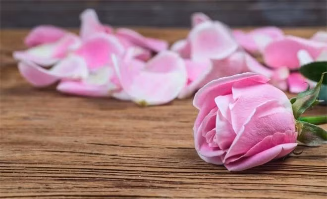 Muon nguoi dan ong yeu minh ap dung bi quyet 