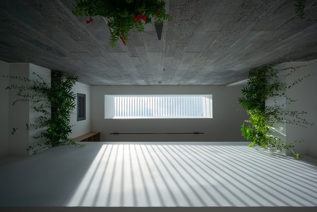 Giếng trời và cây xanh cũng được bố trí ở các góc trong nhà để phòng nào cũng lấy sáng được và giúp điều hòa không khí.