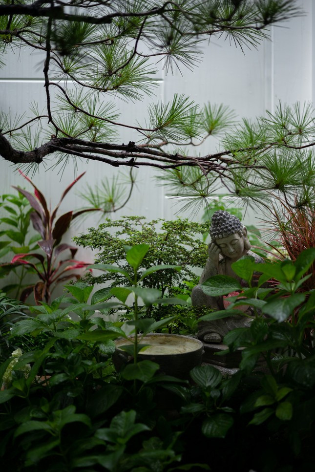 Khu vườn trước mang màu sắc thiền tịnh, dạo quanh vườn sẽ thấy tự tại, tĩnh tâm, cởi bỏ những mệt mỏi của cuộc sống vội vàng.