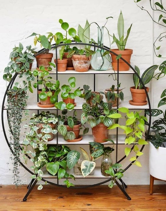 Sử dụng thùng gỗ pallet làm kệ là một lựa chọn sáng tạo được nhiều bạn trẻ ưa chuộng hiện nay.