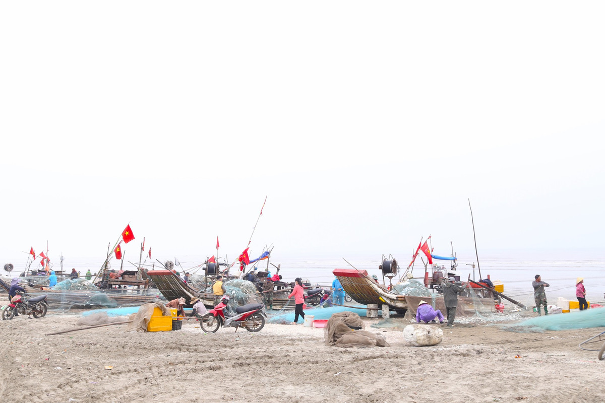 Huyện Diễn Châu có khoảng hơn 200 bè mảng chuyên đánh bắt gần bờ. Vào mùa đánh bắt cá trích, mỗi ngày đánh bắt hàng tấn cá trích, tạo nguồn thu nhập đáng kể cho ngư dân nơi đây.