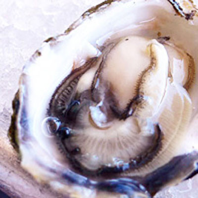 Hàu: Hàu rất dễ bị nhiễm virus Norovirus và vi khuẩn Vibrio vulnificus, gây nôn mửa và tiêu chảy.