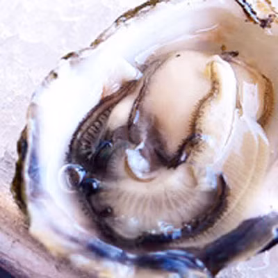 Hàu: Hàu rất dễ bị nhiễm virus Norovirus và vi khuẩn Vibrio vulnificus, gây nôn mửa và tiêu chảy.