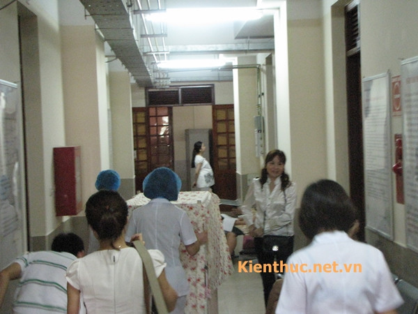 Nhân viên hộ sinh đẩy xe đưa bé về từng phòng