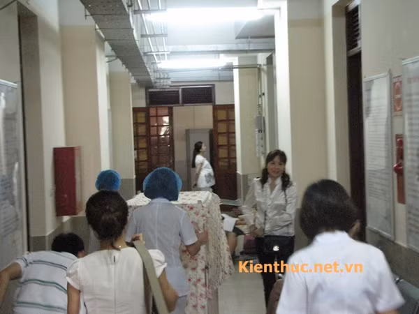 Nhân viên hộ sinh đẩy xe đưa bé về từng phòng