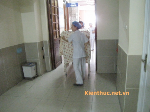 Sau khi 3 em bé đã tắm sạch sẽ, sẽ được hộ lý đẩy xe trả về phòng bệnh theo số của từng bé