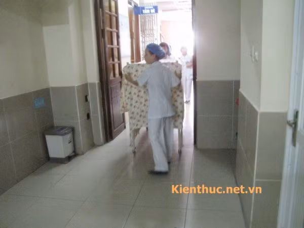 Sau khi 3 em bé đã tắm sạch sẽ, sẽ được hộ lý đẩy xe trả về phòng bệnh theo số của từng bé