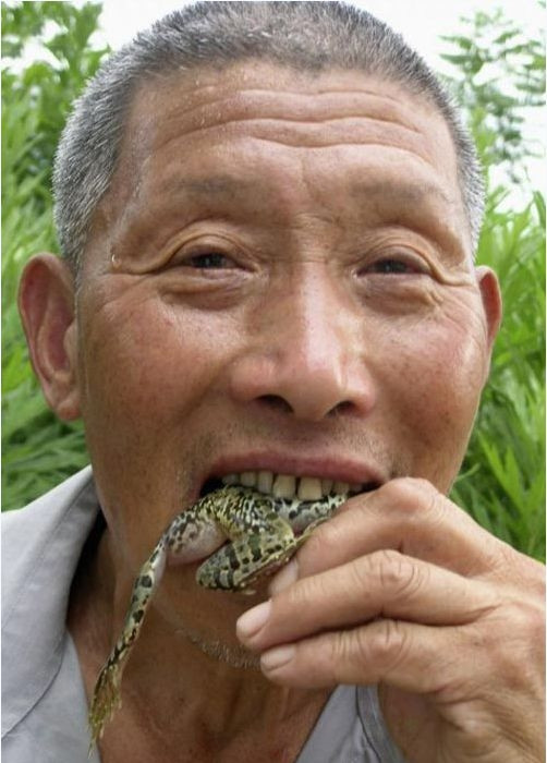 Một người đàn ông ở Tây Nam Trung Quốc cho biết ông đã nuốt ếch sống và chuột trong vòng 40 năm qua. Việc làm "được cho là kỳ quặc" này của ông không những đã giúp chữa khỏi cho ông căn bệnh đường ruột mà còn giúp ôngtrở nên khoẻ mạnh hơn.