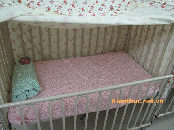 và trả về xe đẩy đợi các bạn tiếp theo tắm