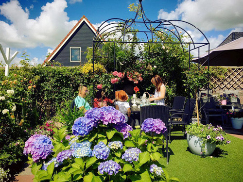 Vườn sau nhà rộng chừng 100 mét vuông là sân chơi dành cho cậu con trai của chị và góc uống cà phê chiều kiểu châu Á. Để nhắc nhớ về những kỷ niệm tuổi thơ ở Việt Nam thời bao cấp, chị trồng nhiều loại hoa thân thuộc như thược dược, dơn, hoa sâm, cúc, mười giờ… Xung quanh vườn là những cây hồng thân đứng đủ kiểu dáng và chủng loại.