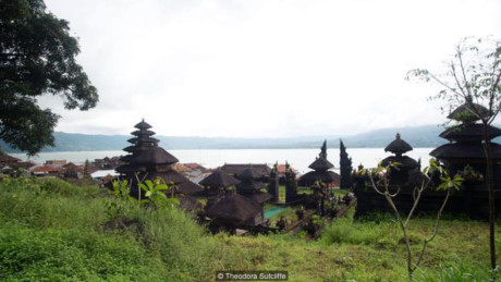 Ron toc gay kieu mai tang de xac duoi goc cay co thu-Hinh-3