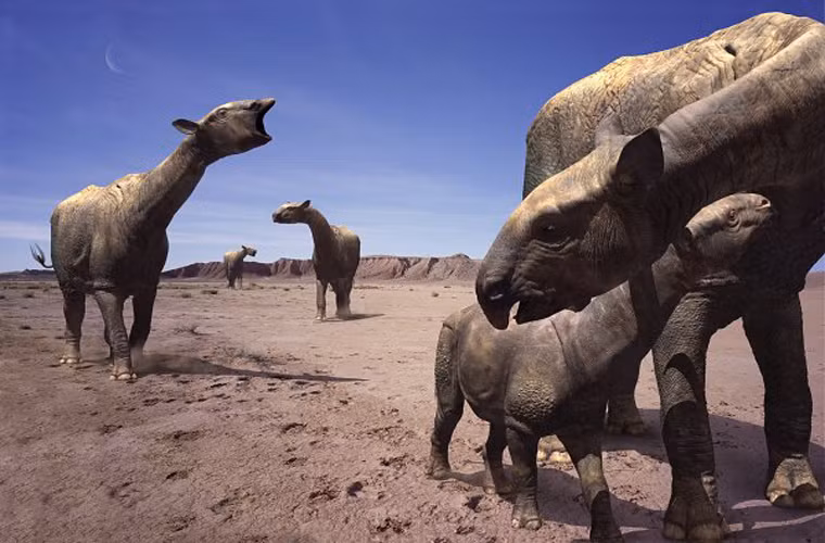 Loài này cao khoảng 5,5 m và dài 10m tính từ mũi tới mông.