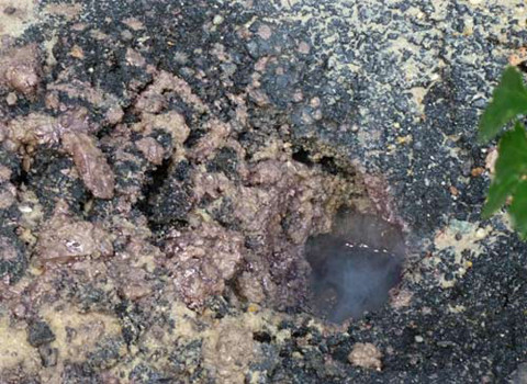 Nguyên nhân vụ mặt đường "nổ" vẫn chưa được tìm thấy.