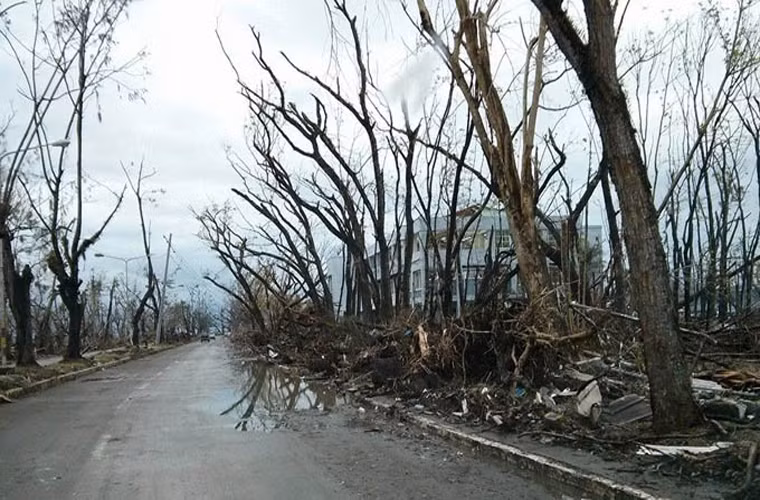 Cây cối khẳng khiu rụng sạch lá trên những con đường ở Tacloban.