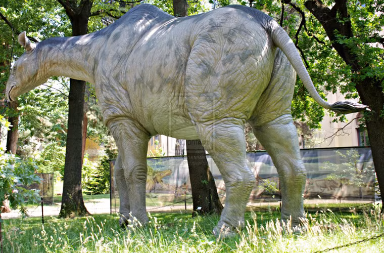 Nó sống ở giữa kỷ Oligocene đến đầu kỷ Miocene,khoảng 20 đến 30 triệu năm trước.