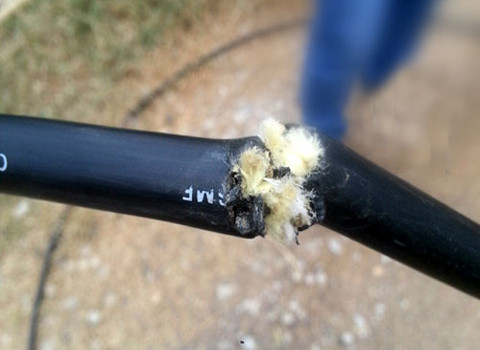 Điểm cáp bị cắt ngày 23/10. Ảnh do FPT Telecom cung cấp.