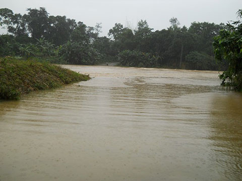 Tại Quảng Ngãi, đang đi đến trường học, em Vương Thị Thu Thủy (học sinh lớp 5C của Trường Tểu học Nghĩa Hành), rơi xuống vực cầu Dài bị nước lũ cuốn chết đuối.