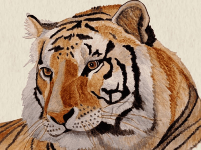 Tất cả những điều này bắt nguồn từ thái độ tích cực của những người sinh năm Dần đối với cuộc sống. Tính cách lạc quan và lạc quan của họ sẽ thu hút mọi người xung quanh và tăng cường sự hấp dẫn lẫn nhau. Vì vậy, hãy mạnh dạn thể hiện bản thân trong tháng này và mạnh dạn bắt đầu các hoạt động xã hội mới!