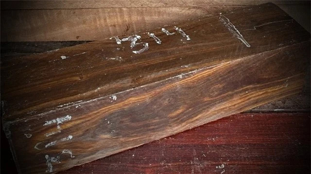 Loại gỗ cứng nhất thế giới, 1 tỷ đồng/m3 vẫn khó mua - Hình 2 Loai go cung nhat the gioi, 1 ty dong/m3 van kho mua-Hinh-2