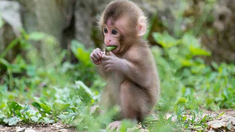 Bởi vậy, một khi thấy cơ hội gõ cửa, hãy sử dụng trí thông minh cùng sự sáng tạo của mình để biến may mắn trở thành một phần cố hữu trong cuộc đời bạn. Cơ hội luôn đi kèm thách thức, và chỉ bạn mới có thể chèo lái con thuyền cuộc đời bạn theo một lối đi thuận lợi nhất.