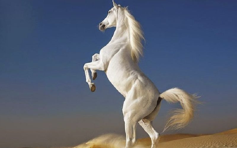  Những tháng cuối năm 2024 và bước sang cả năm 2025, với sự phù trợ của Thần tài và quý nhân, mọi chuyện tài chính của họ sẽ trở nên thuận buồm xuôi gió, những nỗ lực của họ sẽ được đền đáp xứng đáng. Hãy chuẩn bị tinh thần để đón nhận một năm của sự bội thu, với khả năng là họ sẽ bất ngờ chạm tay vào những cơ hội phát triển kinh tế không ngờ tới. 