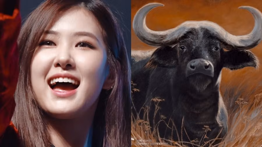  Phụ nữ tuổi Sửu có khả năng điều hành mạnh mẽ và tinh thần trách nhiệm. Họ luôn có thể giữ thái độ bình tĩnh trong những công việc tẻ nhạt và lên kế hoạch hành động hợp lý.