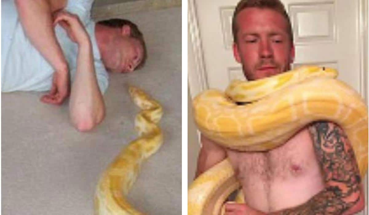 Những vụ trăn nuốt chửng người rúng động nhất thế giới - Hình 12 Nhung vu tran nuot chung nguoi rung dong nhat the gioi-Hinh-12