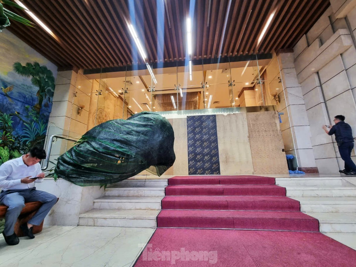 Không chỉ cửa chính được bít kín, cây cối, xe bán hàng, đồ trang trí... trước các khách sạn cũng được trùm buộc kỹ càng.