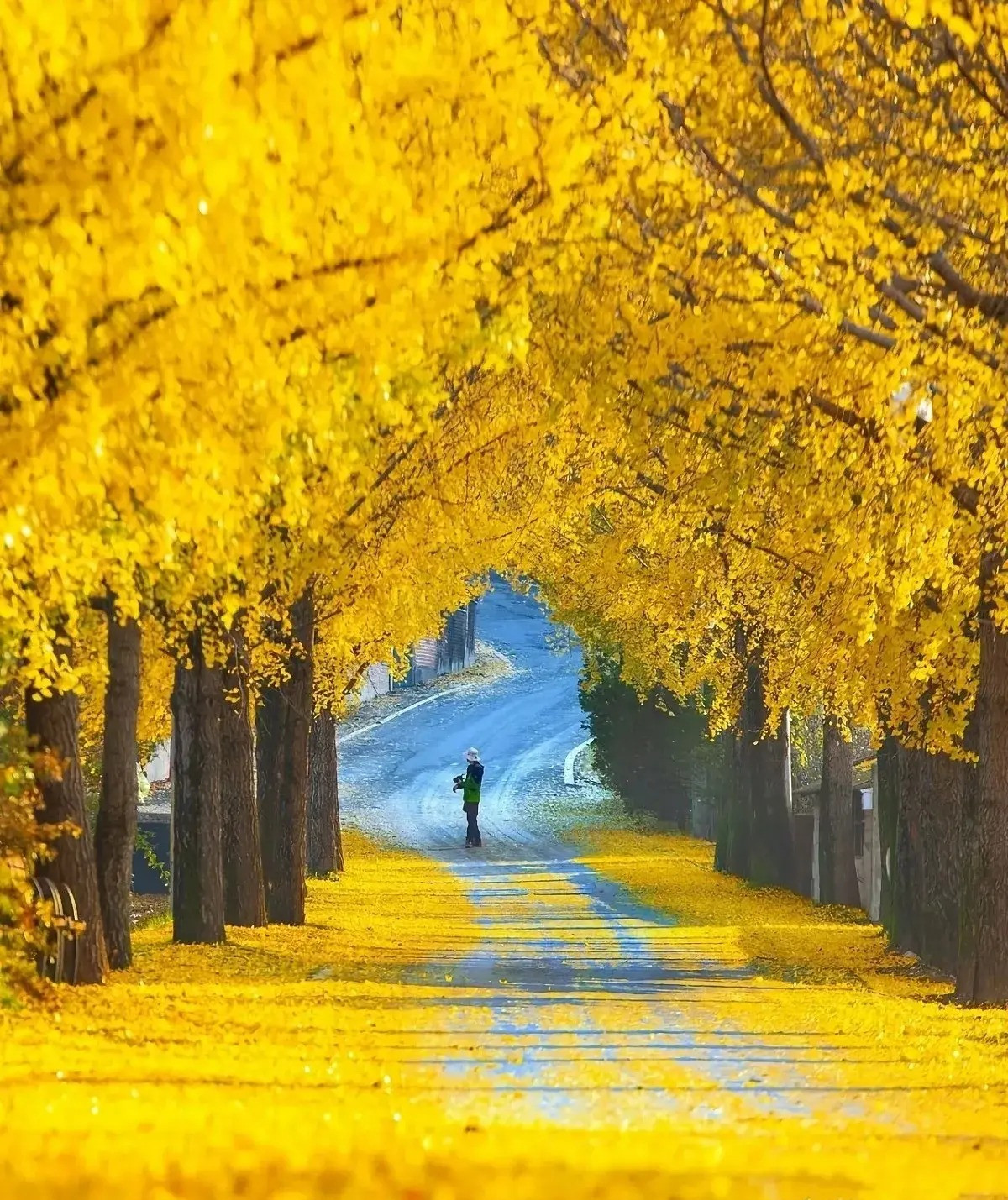 Phụ nữ sinh ngày Âm lịch này có số vượng phu, ích tử - Hình 2 Phu nu sinh ngay Am lich nay co so vuong phu, ich tu-Hinh-2