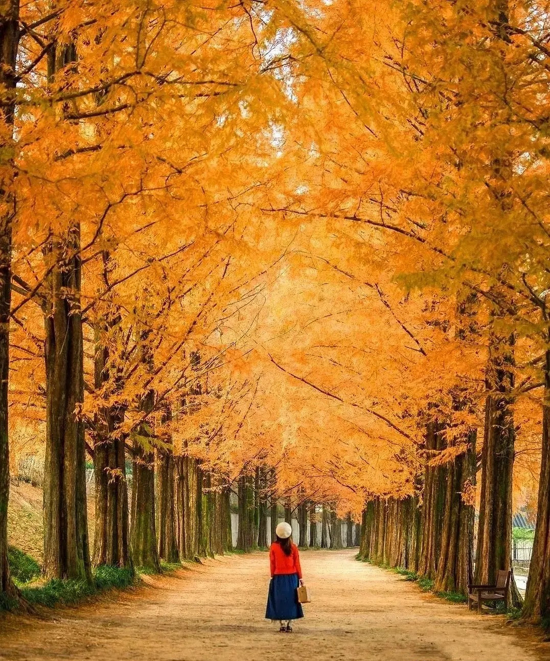 Phụ nữ sinh ngày Âm lịch này có số vượng phu, ích tử Phu nu sinh ngay Am lich nay co so vuong phu, ich tu