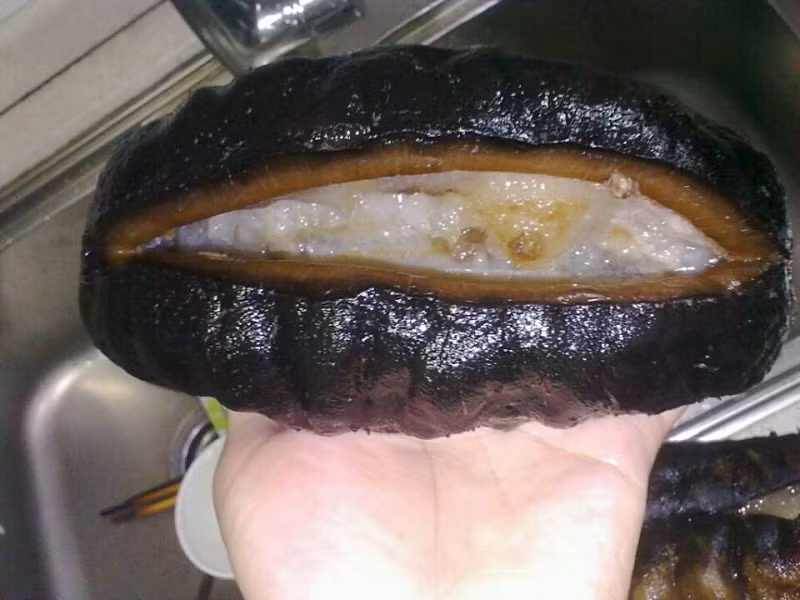 Về mặt thực phẩm, nhiều y gia coi thịt hải sâm là một trong tám món ăn “cao lương mỹ vị” nổi tiếng của phương Đông cùng với yến sào, bào ngư, vây cá... Dưới đây là những món ăn ngon bổ dưỡng từ hải sâm bạn có thể chế biến cho gia đình mình.