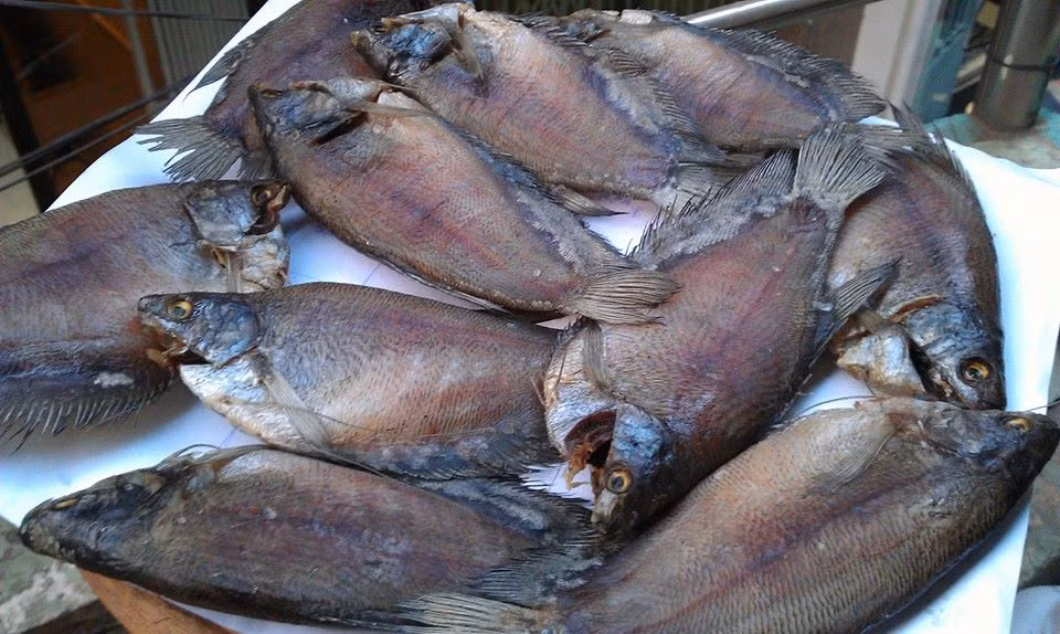 Từ cá sặc rằn có thể chế biến nhiều món ngon...