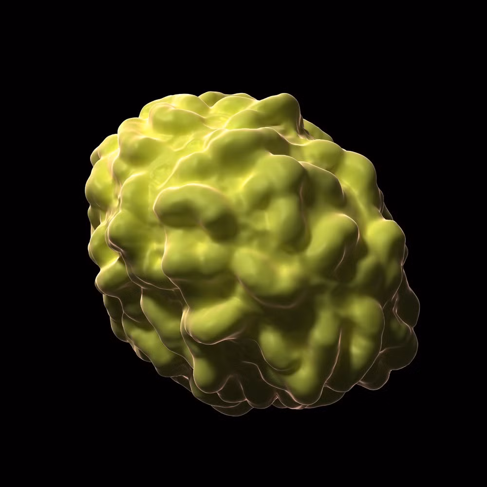 Virus bệnh đậu mùa.