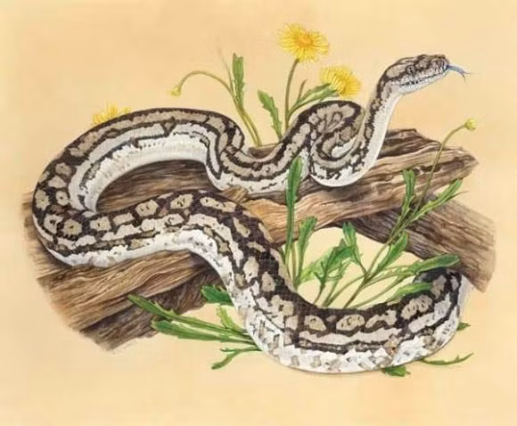 Hạnh phúc sẽ ở bên cạnh nên chẳng cần phải áp lực tâm lý làm gì, chỉ cần cố gắng thì ắt sẽ thành công.