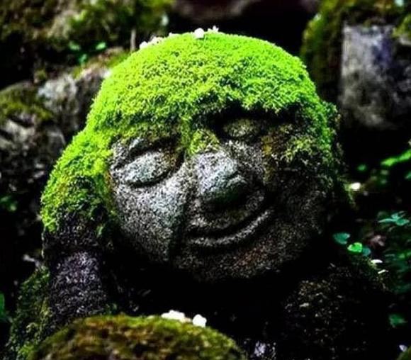 Bon dau hieu chinh cua mot nguoi 